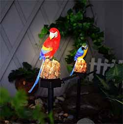 Solar Parrot Light