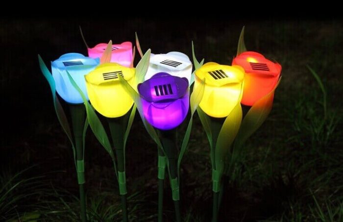 Tulip Solar Lights 3