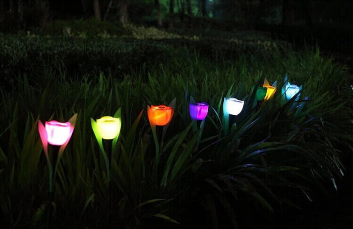 Tulip Solar Lights 5