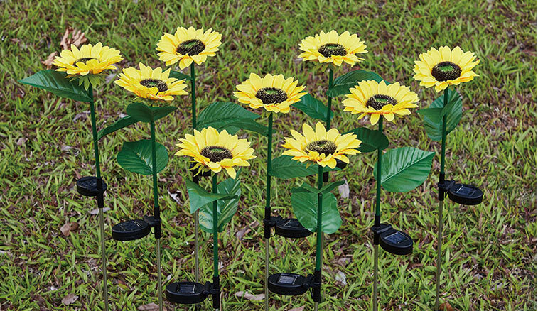 describe of solar sunflower light 4