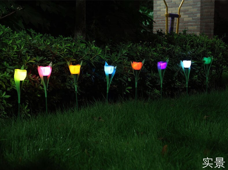 describe of Tulip Solar Lights 10