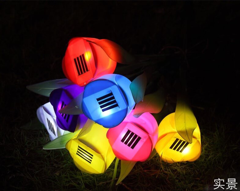 describe of Tulip Solar Lights 7