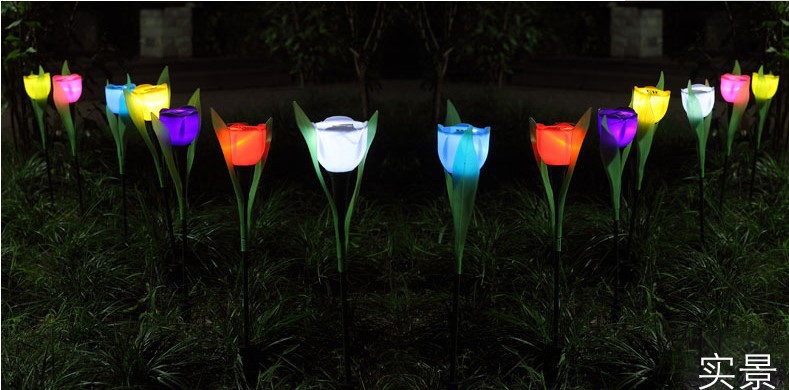 describe of Tulip Solar Lights 8