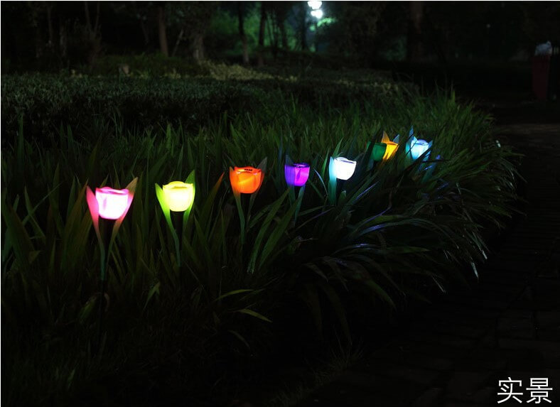 describe of Tulip Solar Lights 9